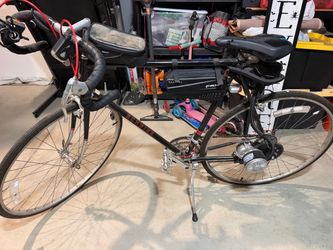 Electric schwinn