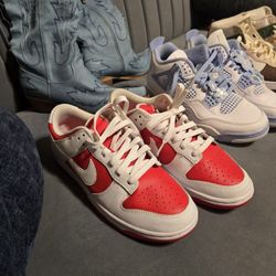 Nike Dunks Sz 8 Men/Womens 10