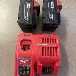 M12 And M18 Lithium Battery Charger With 2 M18 Batteries 