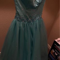 Prom/Quinceañera Dress 