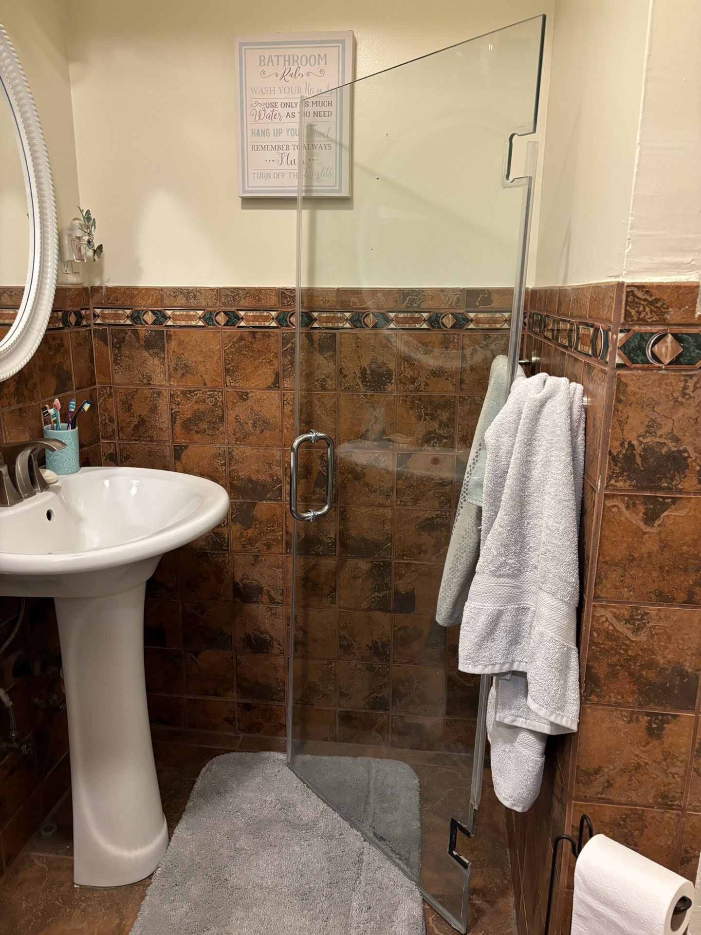 Glass Shower Door