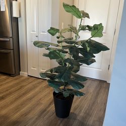 Beautiful World Market Big Faux Fiddle Fig Plant ! 