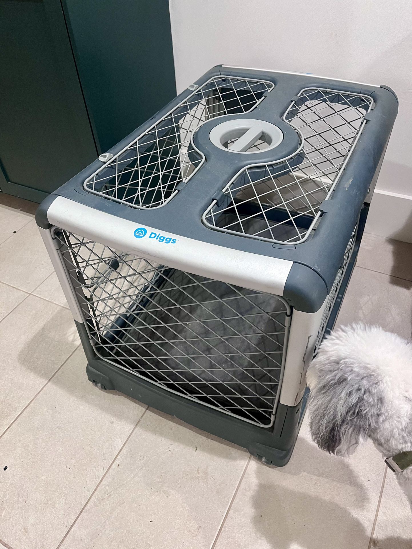 Diggs Revol Dog Crate and Bed Medium Size