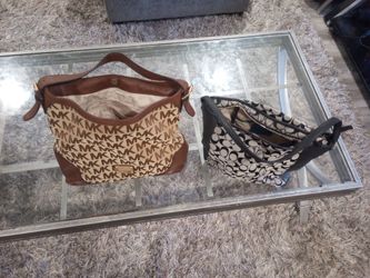 Michael Kors Purse And A Coach Bag
