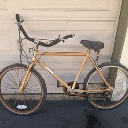 2 Bikes For $20
