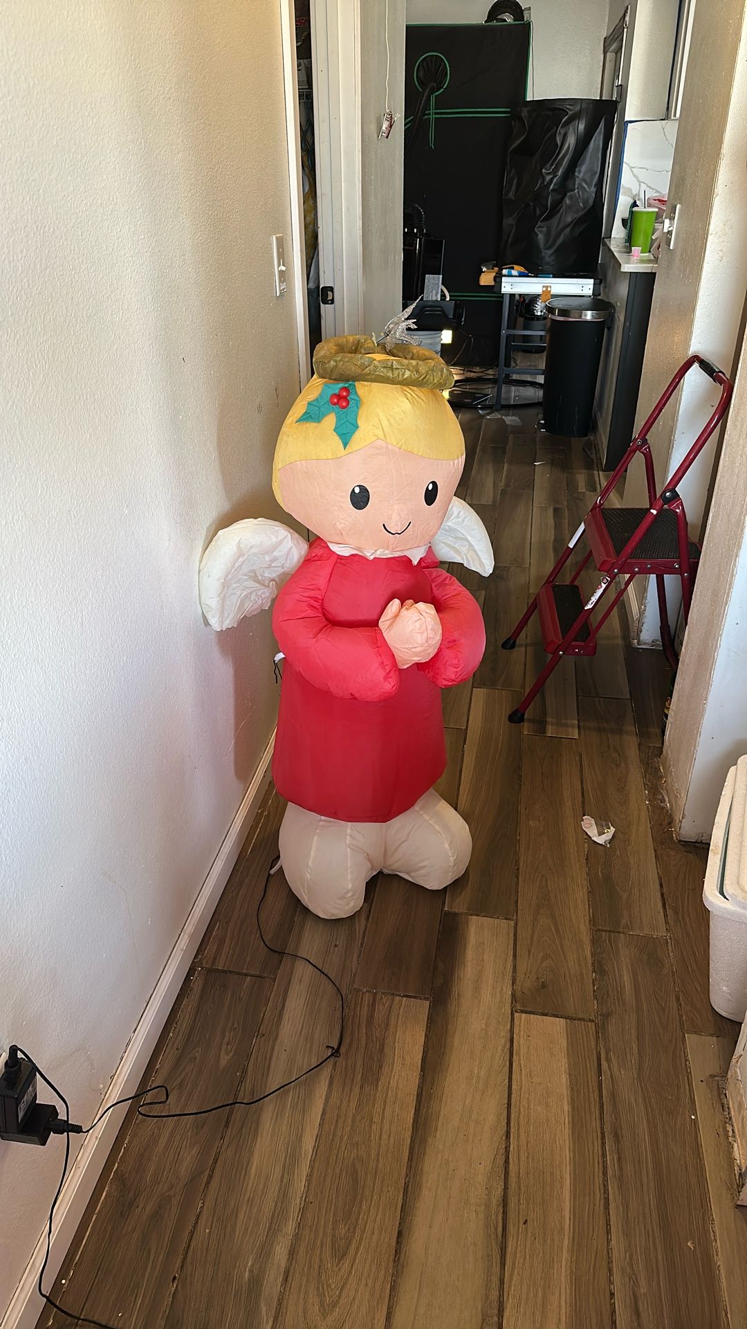 Christmas Inflation Ornaments 