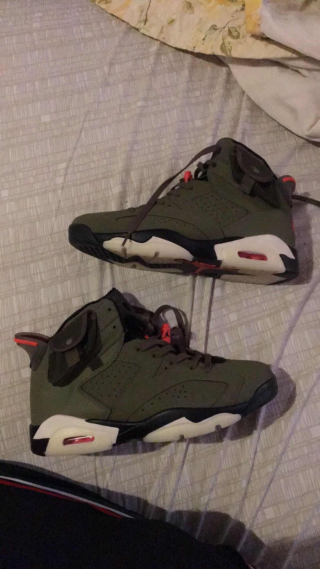 Travis Scott Jordan 6s