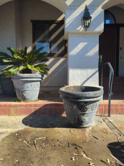 Large Concrete Planter Pot