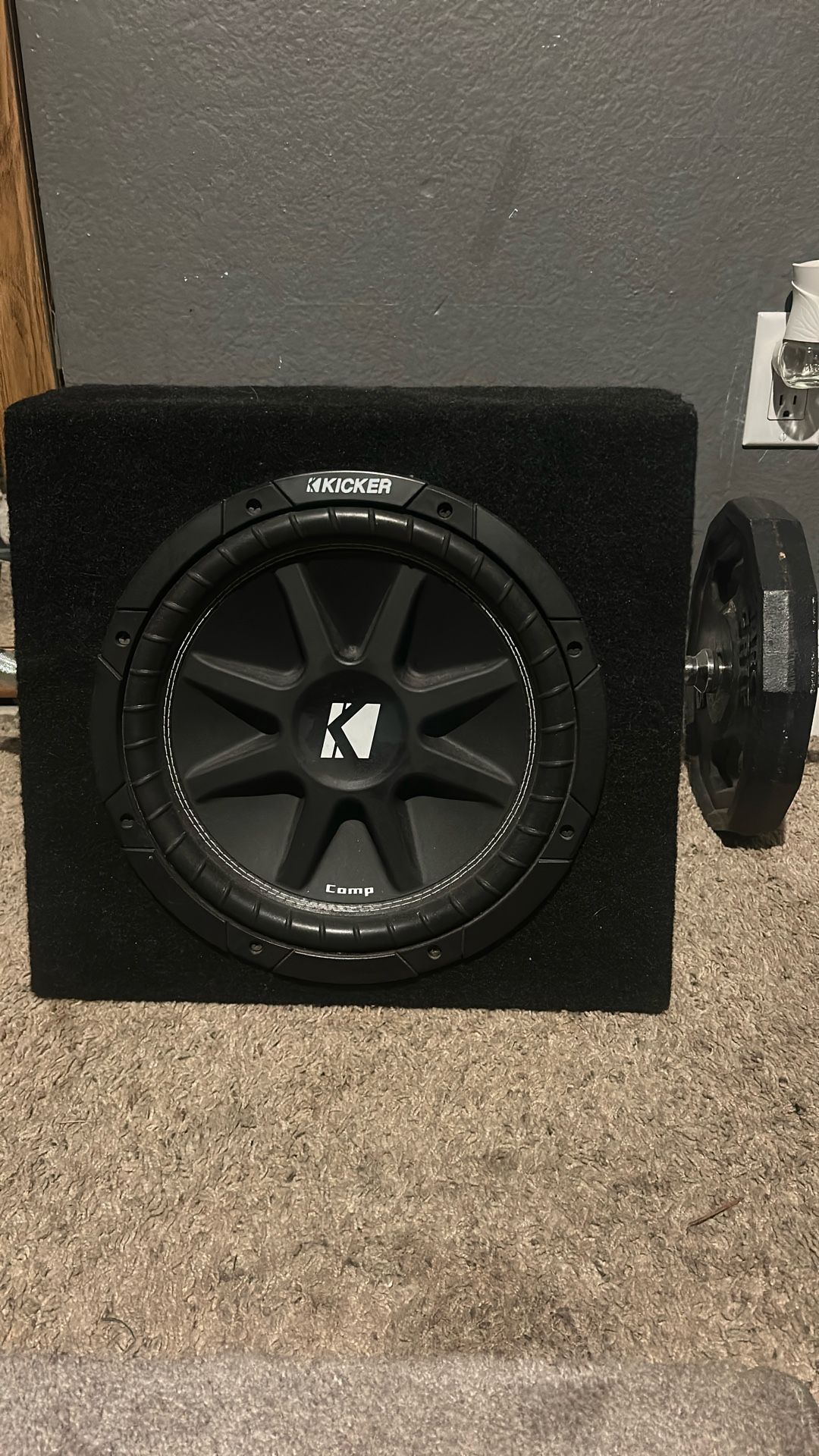 12 Inch Subwoofer