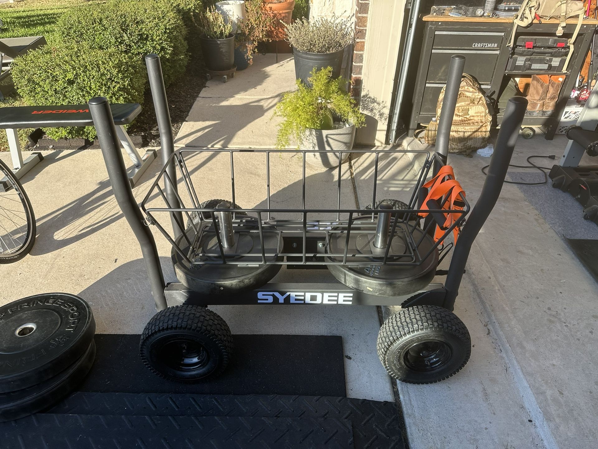 Syedee Fitness Sled