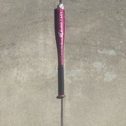 Easton Baseball Bat 27in