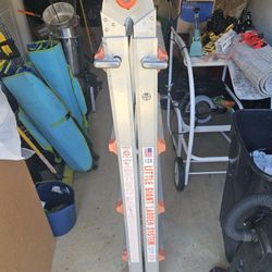 Extendable Ladder Little Giant 