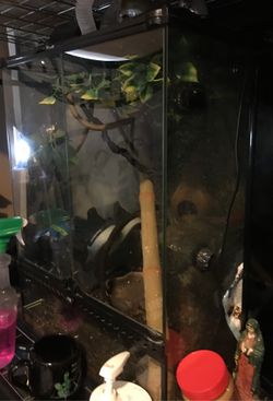 Enclosure for sale zoomed