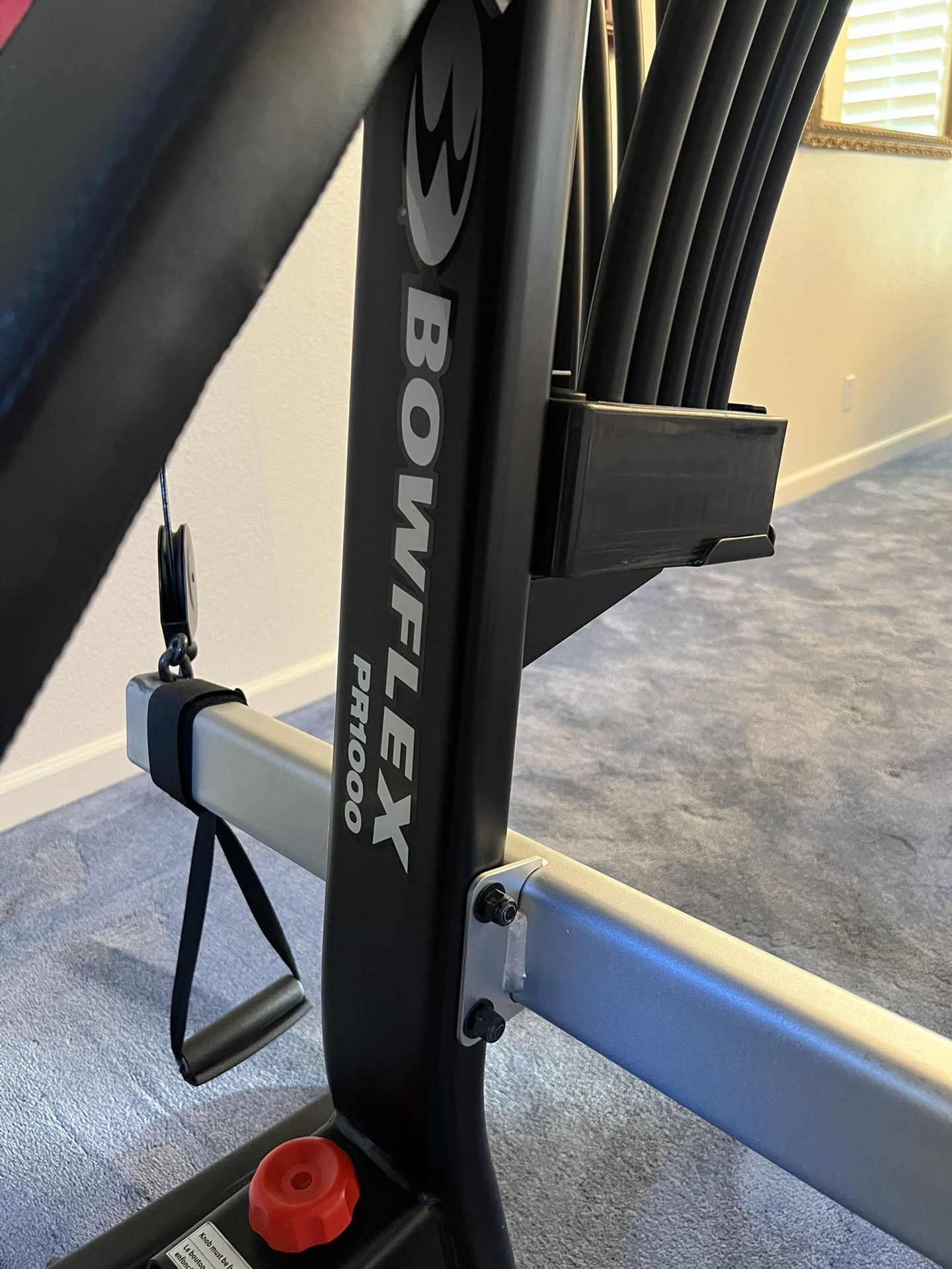 Bowflex PR1000