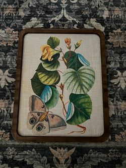 Butterfly wall art