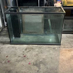 100 Gallon Tank 