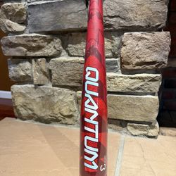 Easton Quantum BBCOR Certified Baseball Bat 