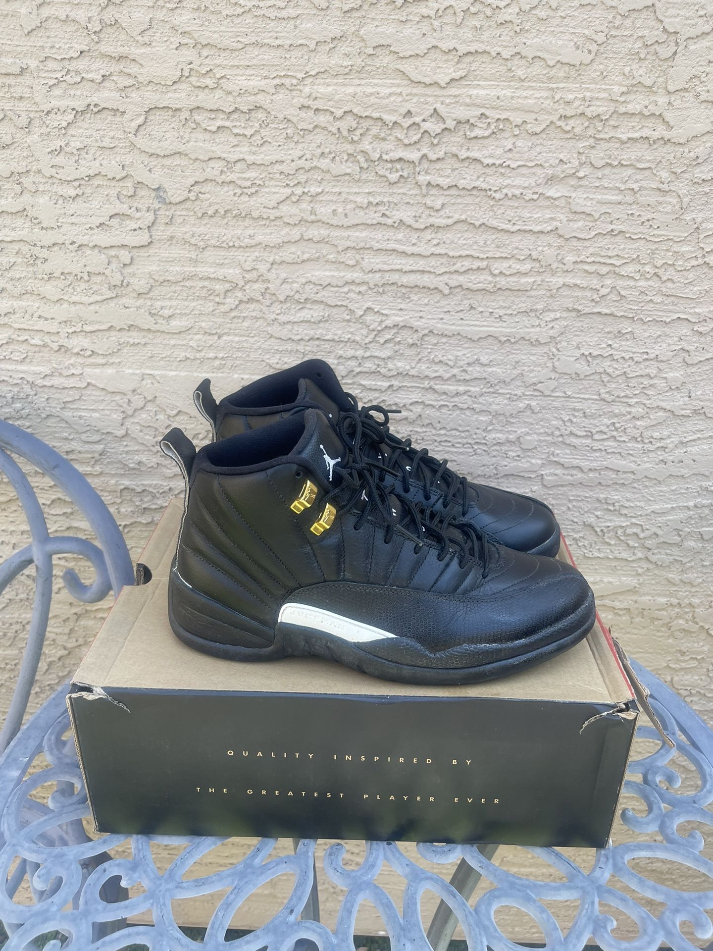 Jordan 12 Masters