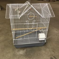 Bird Cage 