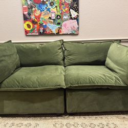 Olive Green Modular Loveseat $450