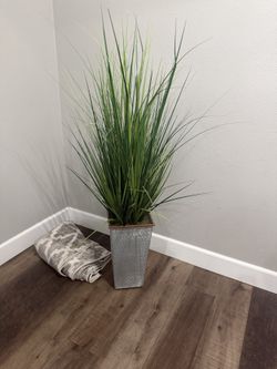 Faux Plant