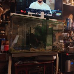 40 Gallon Fish Tank With  Four Separators In The Tank Filter Top Little Gravel Balls Filter Balls I'm Real Nice Piece