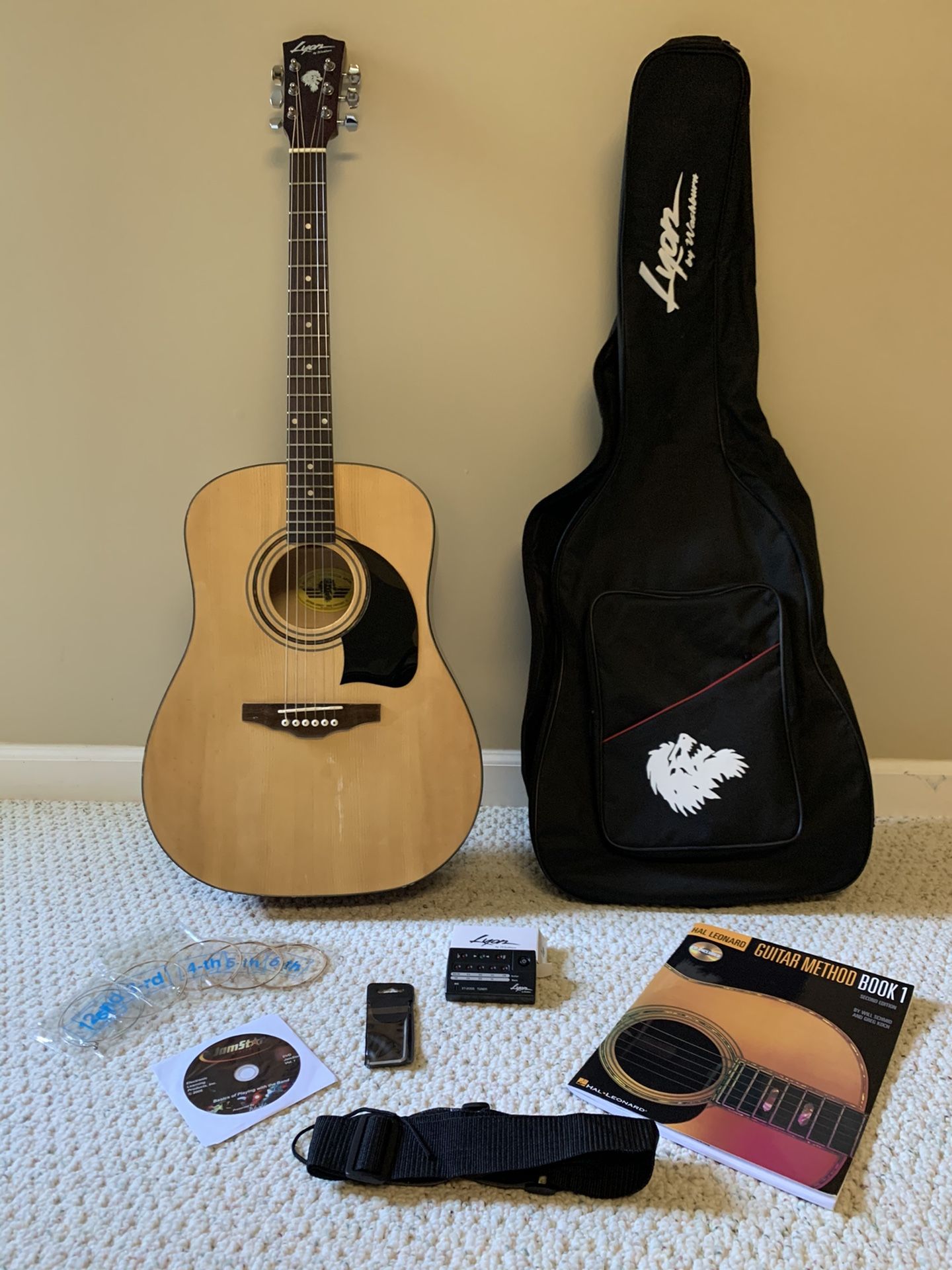 George Washburn Lyon Guitar and Accessory Set