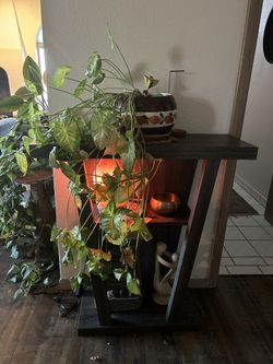 REAL Beautiful PLANT 