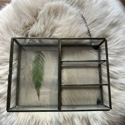 Glass Mini Shelf 6x8 Inches 