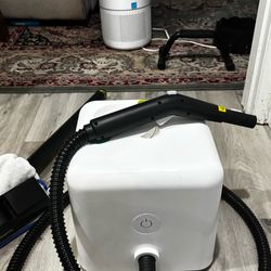 Dupray neat steam cleaner