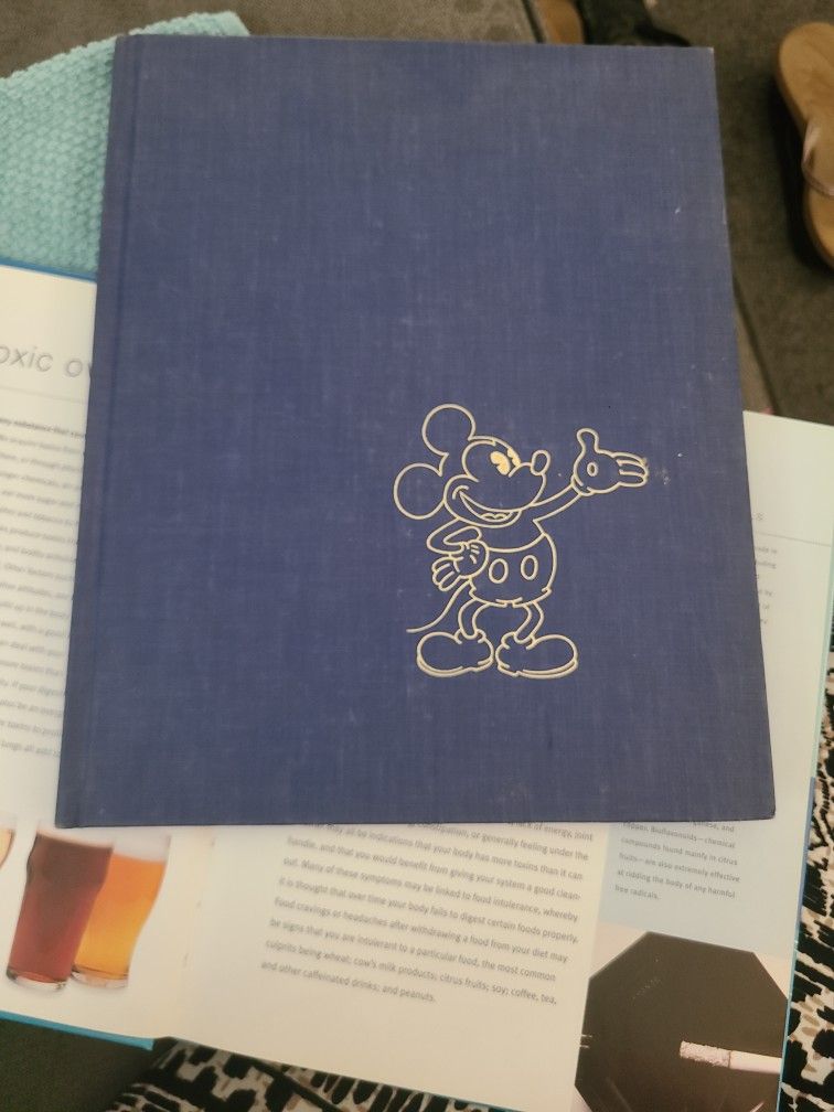 The Art Of Walt Disney Book