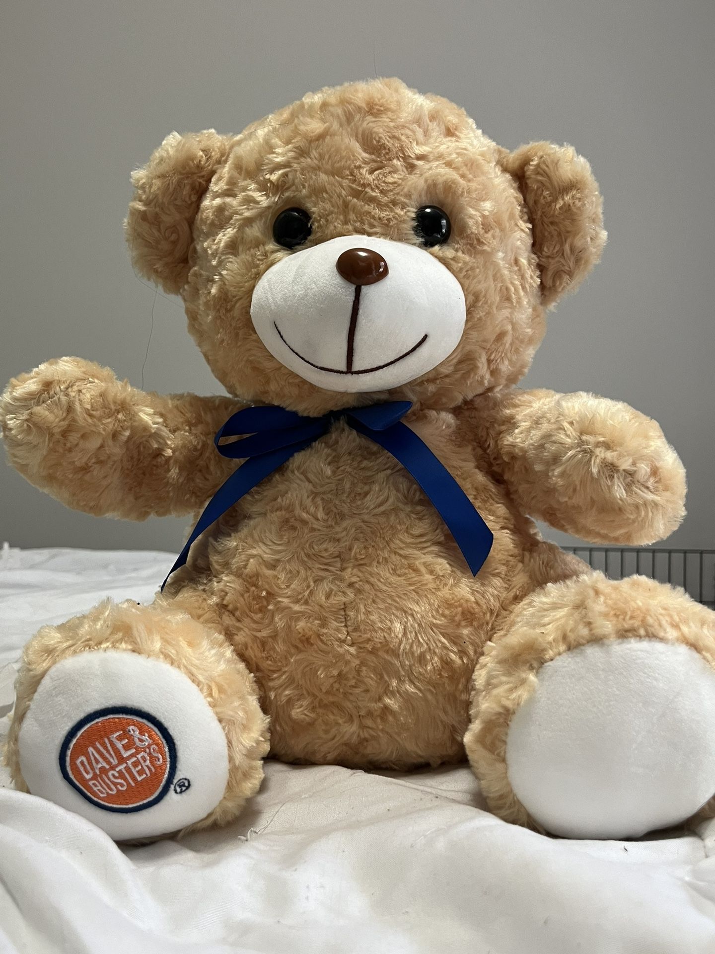 Dave and Busters Teddy Bear