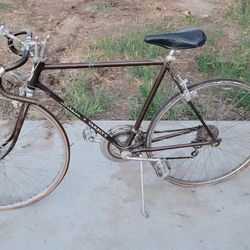 Schwinn Vintage Bike