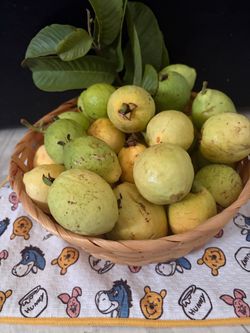Guayabas orgánicas 15 por $5