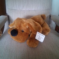 Pick A Pet Brown Puppy 