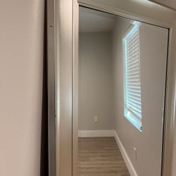 Full Body Length Champagne Mirror
