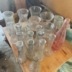 Glass Vases