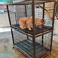Pet Cages in Different Dimensions to Suit All Pets respond high