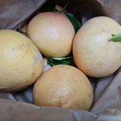2 Bags of freshly picked big Grapefruits only $10