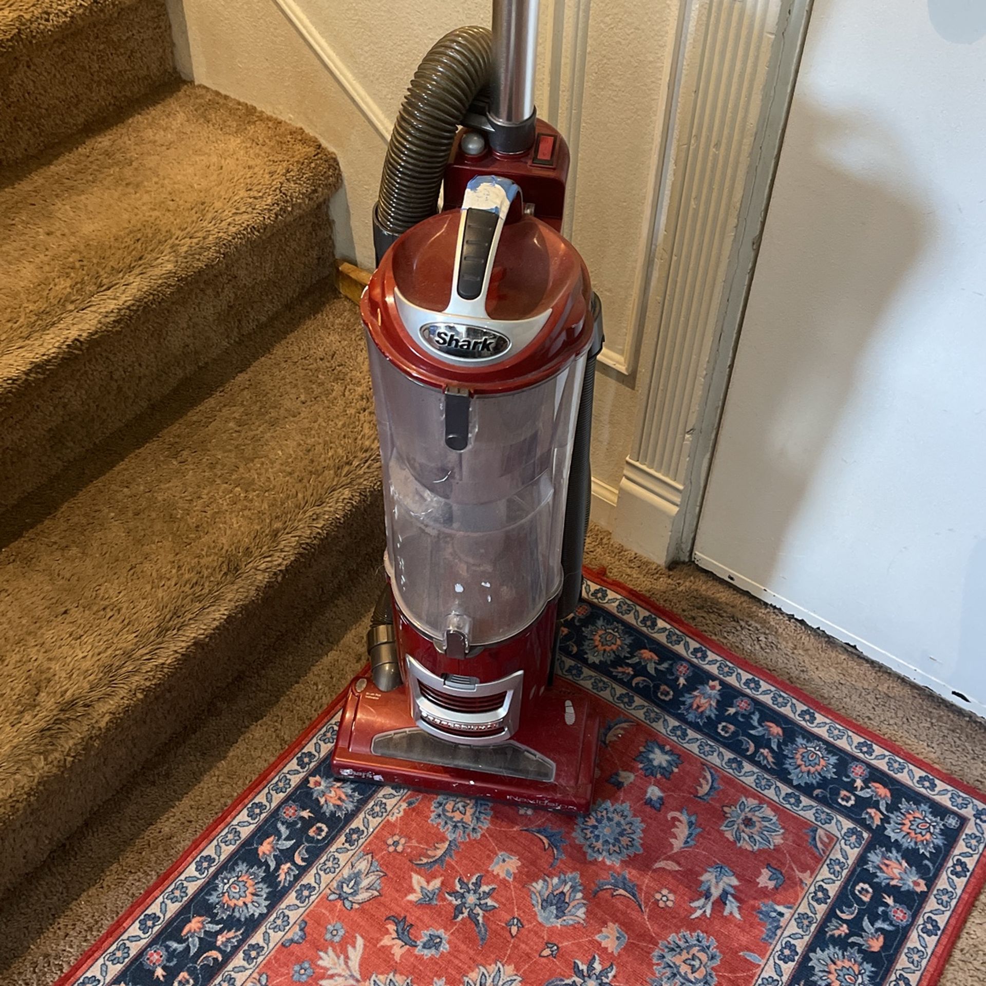 Navigator Shark Vacation