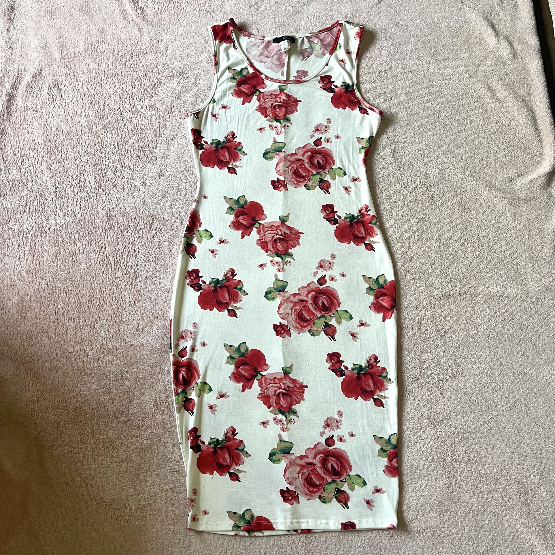 Minette Women’s White Sleeveless Floral Dress Size XL