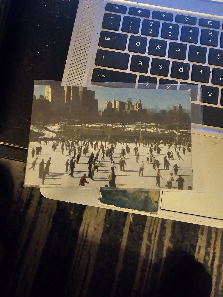 Wollman Memorial Skating Rink 1954 Postcard