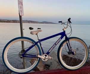 29 inch SE bikes Monster Ripper