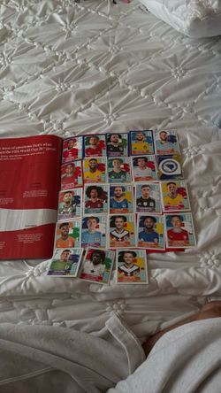 FIFA world cup 2026 stickers panini