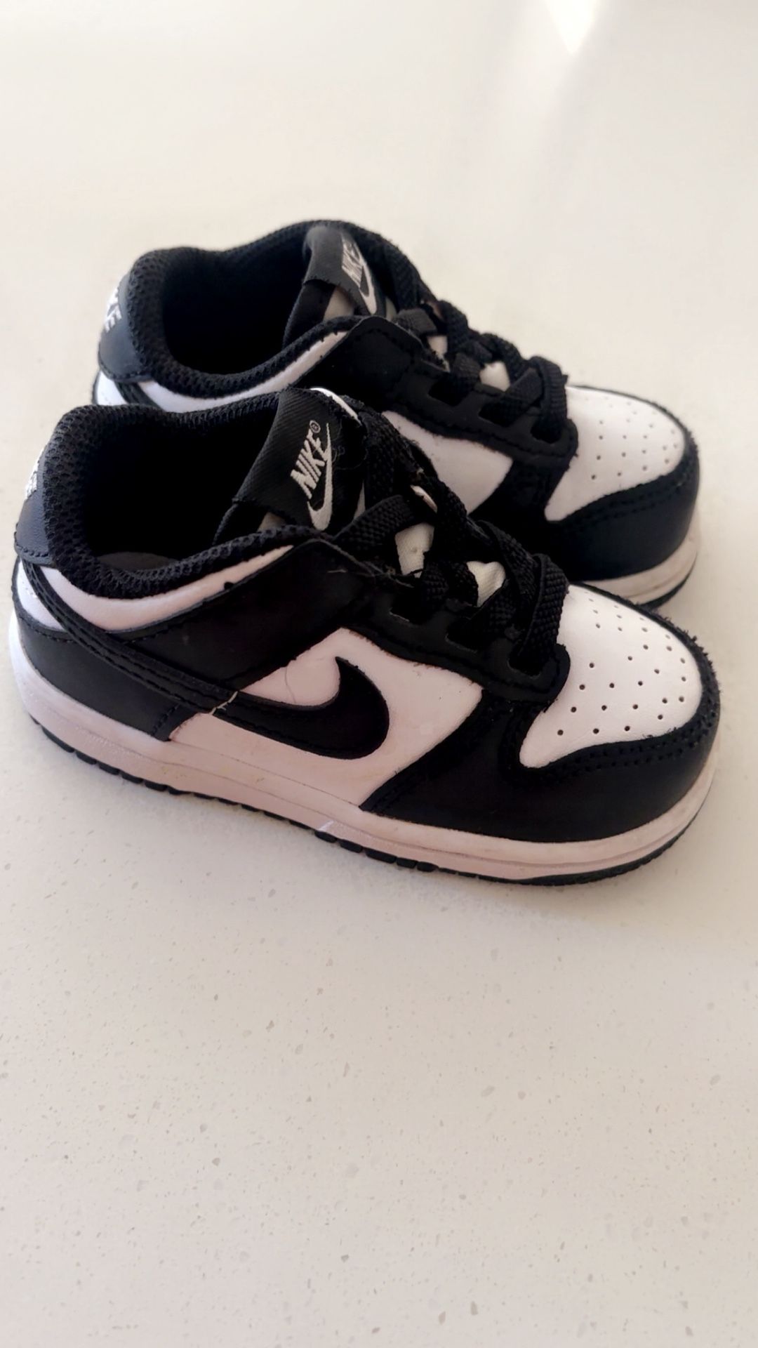 6c Nike Dunks