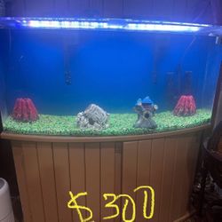 Fish Tank / Furniture Set