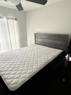 Queen Size Bed And Dresser Mattress And Box spring Included 