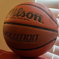 Wilson Basketball 