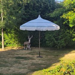 Umbrella gigantic