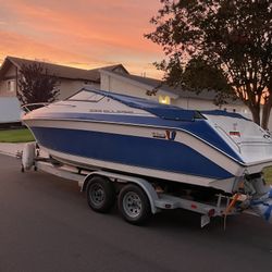 22’ Wellcraft Boat